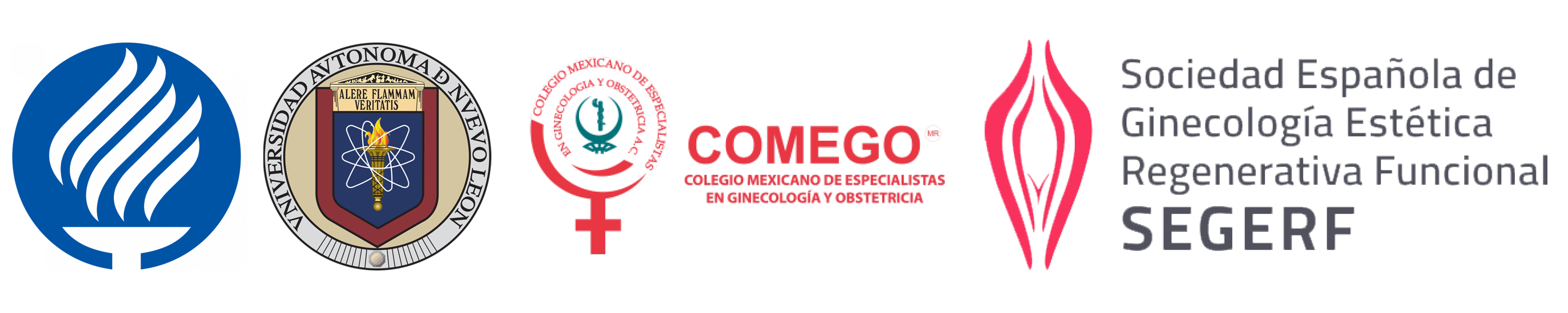 Logos_Gine